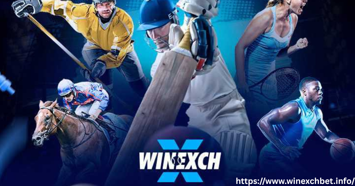 winexch360 winexch winexchange winexch login